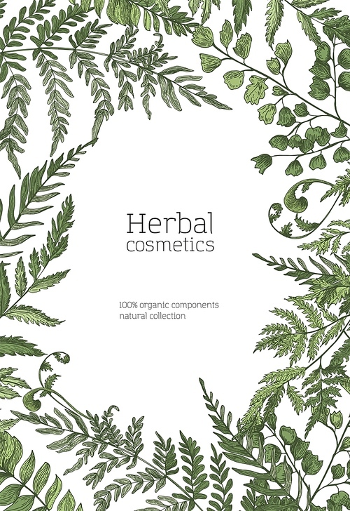 Flyer or poster template with frame made of forest ferns, wild herbs, green herbaceous plants on white background. Hand drawn realistic vector illustration for natural organic cosmetics advertisement.