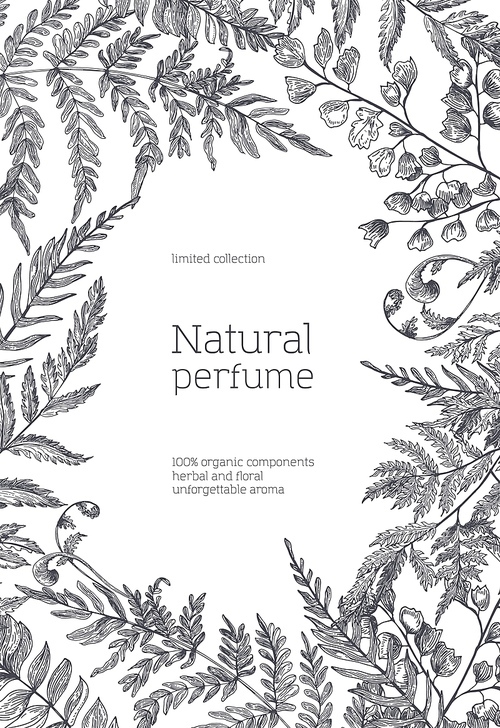 Monochrome flyer template decorated with forest ferns and herbs hand drawn with black contour lines on white background. Natural perfume or fragrance advertisement, promo. Vector illustration.
