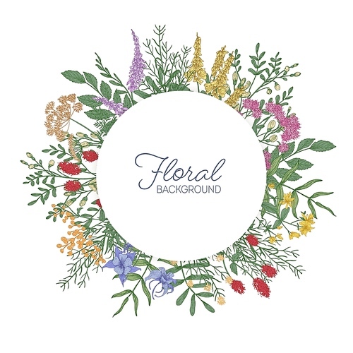 Round frame or border decorated with colorful blooming wild meadow flowers, inflorescences and leaves. Gorgeous circular floral background. Botanical vector illustration in elegant vintage style.