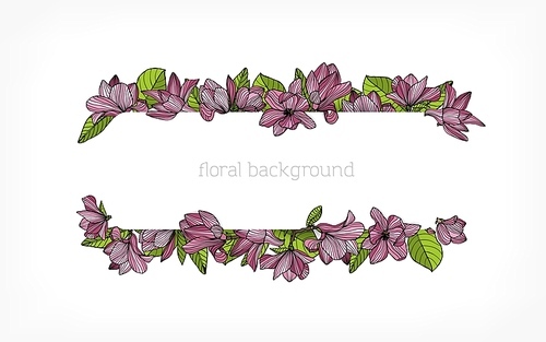 Horizontal background, border or frame decorated with beautiful pink blooming magnolia flowers and green leaves. Gorgeous floral decoration made of flowering plants. Colorful vector illustration.