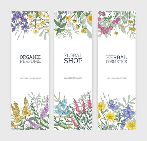 Set of vertical banners decorated with blooming wild flowers, beautiful flowering meadow herbs and place for text on white background. Vector illustration for natural products advertisement, promo.