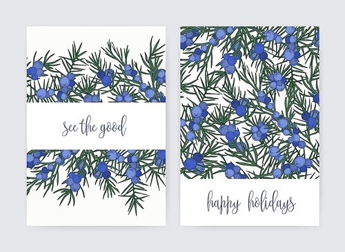 Bundle of postcard templates with juniper berries and leaves on white background and holiday wish. Set of cards decorated by beautiful coniferous plant. Colorful hand drawn vector illustration.