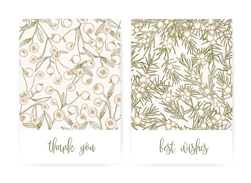 Set of postcard or greeting card templates with cranberries and juniper berries and leaves hand drawn with contour lines on light background and holiday wish. Monochrome realistic vector illustration.