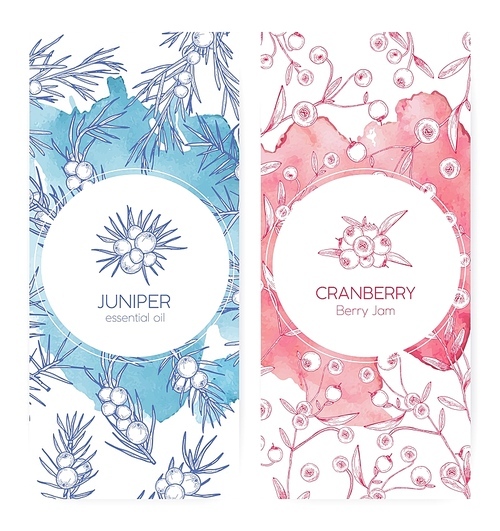 Bundle of banner templates with juniper and cranberries drawn with contour lines on pink and blue backgrounds. Set of labels with berries. Natural vector illustration for essential oil and jam promo.