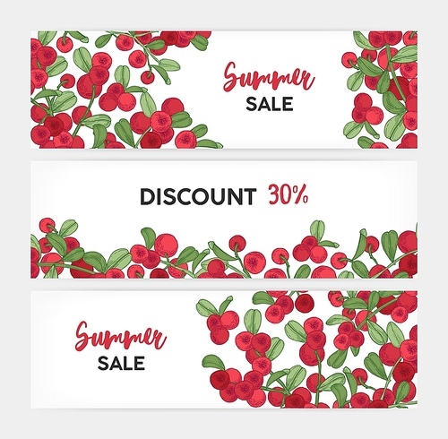 Collection of horizontal banner templates with lingonberries hand drawn on white background and place for text. Natural realistic vector illustration for summer sale promotion or advertisement