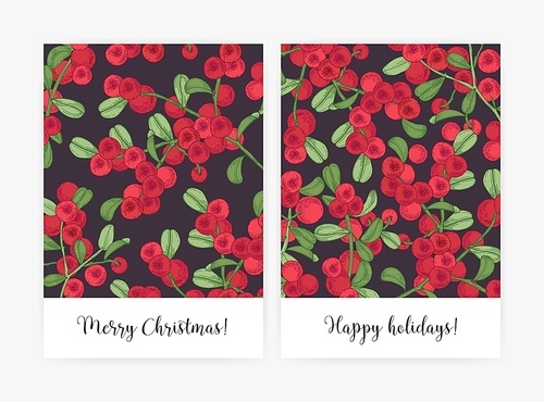 Set of greeting card or postcard templates decorated with lingonberry sprigs hand drawn on black background. Bundle of holiday flyers with ripe boreal berries and leaves. Natural vector illustration