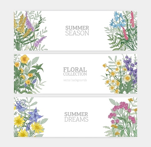 Bundle of horizontal banner templates with elegant blooming wild summer flowers and place for text on white background. Collection of beautiful floral backdrops. Colorful seasonal vector illustration
