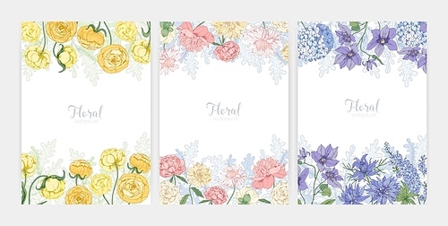 Collection of floral backgrounds or card templates with frames made of beautiful blooming wild flowers and flowering herbs and place for text. Elegant realistic botanical vector illustration.