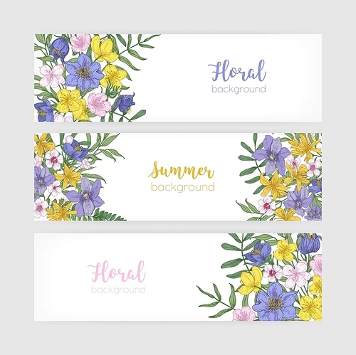 Set of floral banner templates with elegant blooming wild summer flowers and place for text on white background. Collection of natural backdrops with wildflowers. Realistic vector illustration