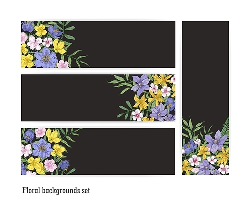 Collection of vertical and horizontal banner templates with gorgeous blooming wild flowers and flowering perennial plants on black background. Set of decorative floral backdrops. Vector illustration