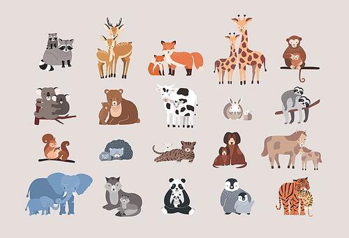 raccoon, deer, fox, giraffe, monkey, koala, bear, cow, rabbit, sloth, squirrel hedgehog  dog pony horse elephant wolf with cubs cute animals with babies set