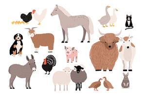 Farm pets colorful collection. Cute domestic animals set. Hand drawn vector illustration on white background