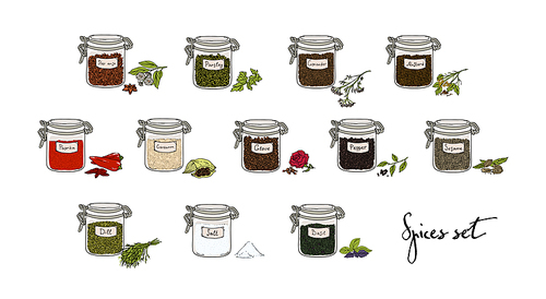 spices in jars, big set, part 2. collection hand drawn vector illustration