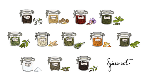 spices in jars, big set, part 1. collection hand drawn vector illustration