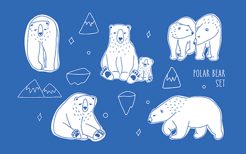 Set with different white polar bears. Hand drawn, doodle vector collection