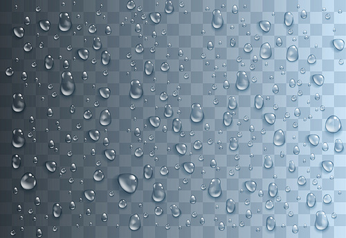 Realistic water drops. Horizontal mock up on transparent background. Monochrome vector illustration