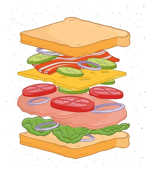 Delicious sandwich with layers or ingredients isolated on white  - bread slices, vegetables, salad leaves, cheese, bacon, meat. Realistic drawing of fast food meal. Vector illustration.