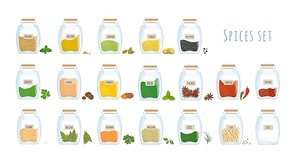 Bundle of spices stored in closed glass jars isolated on white . Set of spicy condiments, aromatic cooking ingredients in transparent kitchen containers. Colored vector illustration.