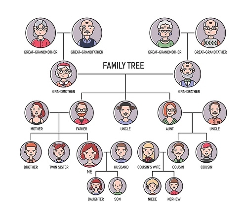Family tree, pedigree or ancestry chart template. Cute men's and women's portraits in circular frames connected by lines. Links between relatives. Colorful vector illustration in lineart style