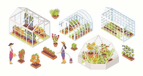 Bundle of various glass greenhouses with plants, flowers and vegetables growing inside, gardeners, farmers or agricultural workers isolated on white . Colorful isometric vector illustration.