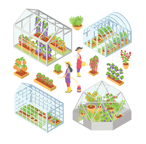 Set of 3d glass greenhouse, hotbed with seedlings. People water plants, flowers, vegetables in garden bed, flowerbed. Isometric colorful vector illustrations