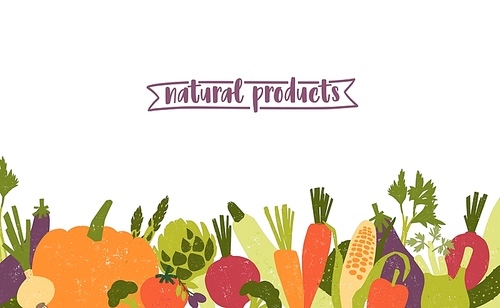 Horizontal banner template decorated with various vegetables at bottom edge on white background. Natural fresh organic food, vegan and vegetarian products. Colorful modern flat vector illustration.