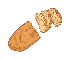 Loaf of bread cut into slices isolated on white background. Realistic drawing of fresh baked product or delicious homemade breakfast food. Colorful hand drawn vector illustration in vintage style
