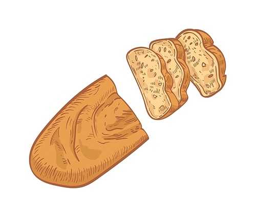 Loaf of bread cut into slices isolated on white . Realistic drawing of fresh baked product or delicious homemade breakfast food. Colorful hand drawn vector illustration in vintage style