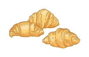 Fresh delicious croissants isolated on white background. Realistic drawing of tasty baked product or sweet homemade pastry for breakfast. Colorful hand drawn vector illustration in vintage style