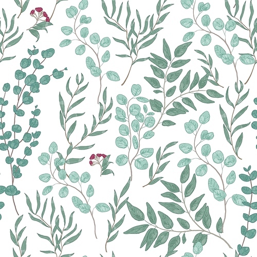 Antique floral seamless pattern with beautiful eucalyptus branches, leaves and flowers on white background. Hand drawn decorative vector illustration for fabric , wrapping paper, backdrop