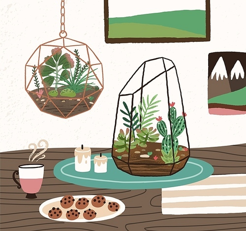 Interior of cozy room with succulents, cactuses and other desert plants growing in glass vivariums or florariums. Natural home decorations in trendy Scandic style. Colorful vector illustration