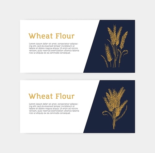 Collection of horizontal banner templates with wheat ears or spikelets. Cultivated plant, cereal grain or food crop. Monochrome vector illustration for flour, promotion of product for baking