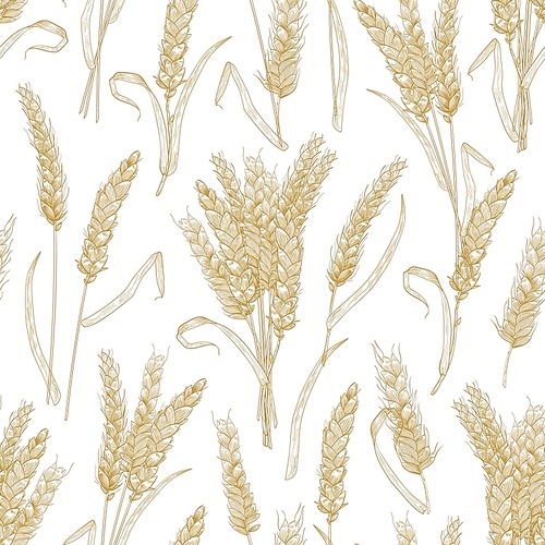 Natural seamless pattern with wheat ears on white background. Backdrop with cultivated cereal plant, grain or crop. Realistic vector illustration in retro style for wrapping paper, fabric