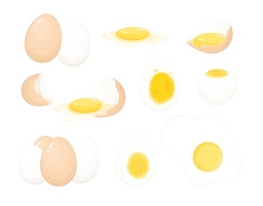 Collection of raw, boiled and fried eggs, peeled and covered with eggshell. Bundle of delicious high-protein food products isolated on white background. Realistic colorful vector illustration.