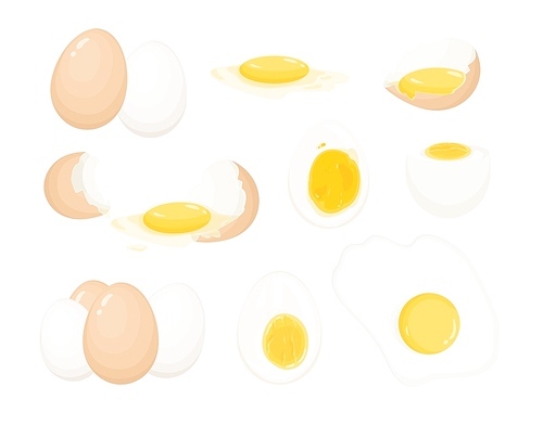 Collection of raw, boiled and fried eggs, peeled and covered with eggshell. Bundle of delicious high-protein food products isolated on white . Realistic colorful vector illustration.