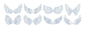 Collection of angel, bird or amour feather wings drawn with contour lines. Set of romantic decorative design elements isolated on white background. Elegant vector illustration for Valentine's day
