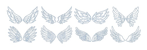 Collection of angel, bird or amour feather wings drawn with contour lines. Set of romantic decorative design elements isolated on white . Elegant vector illustration for Valentine's day