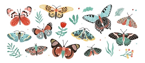 Collection of elegant exotic butterflies and moths isolated on white . Set of tropical flying insects with colorful wings. Bundle of decorative design elements. Flat vector illustration