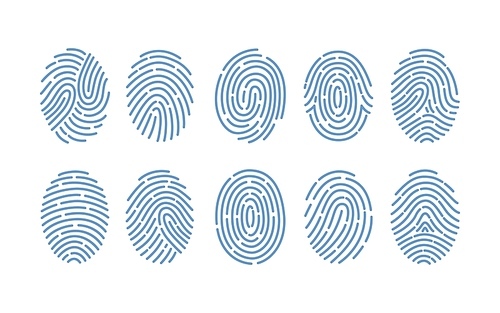 Set of fingerprints of various types isolated on white . Traces of friction ridges of human fingers. Method of forensic science, person's identification. Monochrome vector illustration