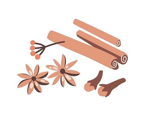 Cinnamon sticks, cloves and star anise isolated on light background. Aromatic spices or spicy food condiments used in culinary. Decorative design elements. Flat cartoon colorful vector illustration
