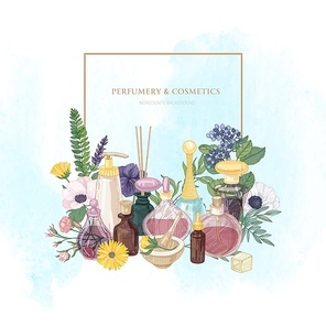 Square backdrop with perfume in glass bottles of various shapes and sizes, elegant flowering plants, frame and place for text on light background. Hand drawn vector illustration for fragrance promo