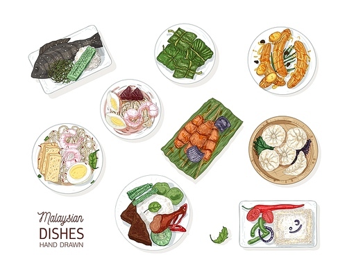 Collection of tasty meals of Malaysian cuisine. Bundle of delicious spicy Asian restaurant dishes lying on plates isolated on white . Colorful realistic hand drawn vector illustration
