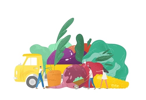 Giant fruits and vegetables, truck and group of tiny people, agricultural workers or farmers isolated on white . Natural organic fresh food. Agriculture or farming. Flat vector illustration