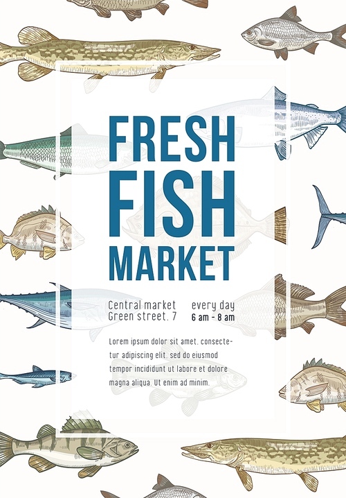 Poster template with fish, frame and place for text. Vertical banner with marine creatures, sea and freshwater species. Colorful realistic vector illustration in vintage style for market promotion