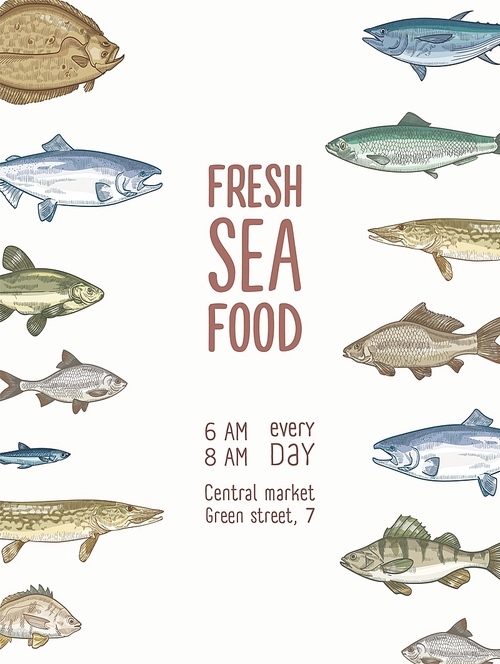 Flyer template with fish or fresh seafood and place for text. Poster with underwater creatures, aquatic species. Elegant colorful realistic vector illustration in retro style for market advertisement