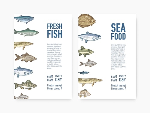 Set of flyer or poster templates with fish and place for text. Cards with aquatic creatures, marine animals. Realistic vector illustration in vintage style for event announcement, advertisement