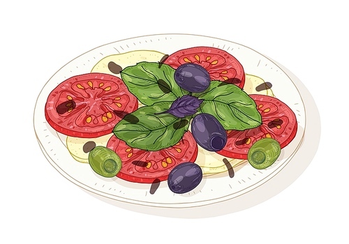 Caprese salad on plate isolated on white . Healthy delicious Italian restaurant meal made of fresh organic tomatoes, mozzarella, basil, olives. Hand drawn realistic vector illustration