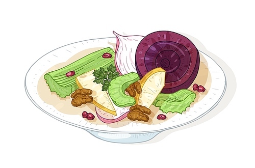 Fresh tasty salad with vegetables and nuts on plate isolated on white . Delicious dietary meal made of beetroot, apples, celery and walnuts. Healthy nutrition. Realistic vector illustration