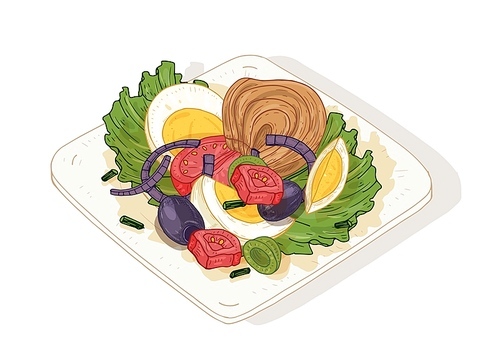 Delicious salad with vegetables and fish on plate isolated on white . Tasty wholesome dish made of anchovies, tomatoes, eggs, olives. Dietary nutrition. Hand drawn vector illustration