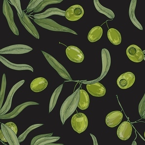 Natural seamless pattern with olive tree branches, leaves, green organic raw fruits or drupes on white background. Realistic vector illustration in antique style for fabric , wrapping paper